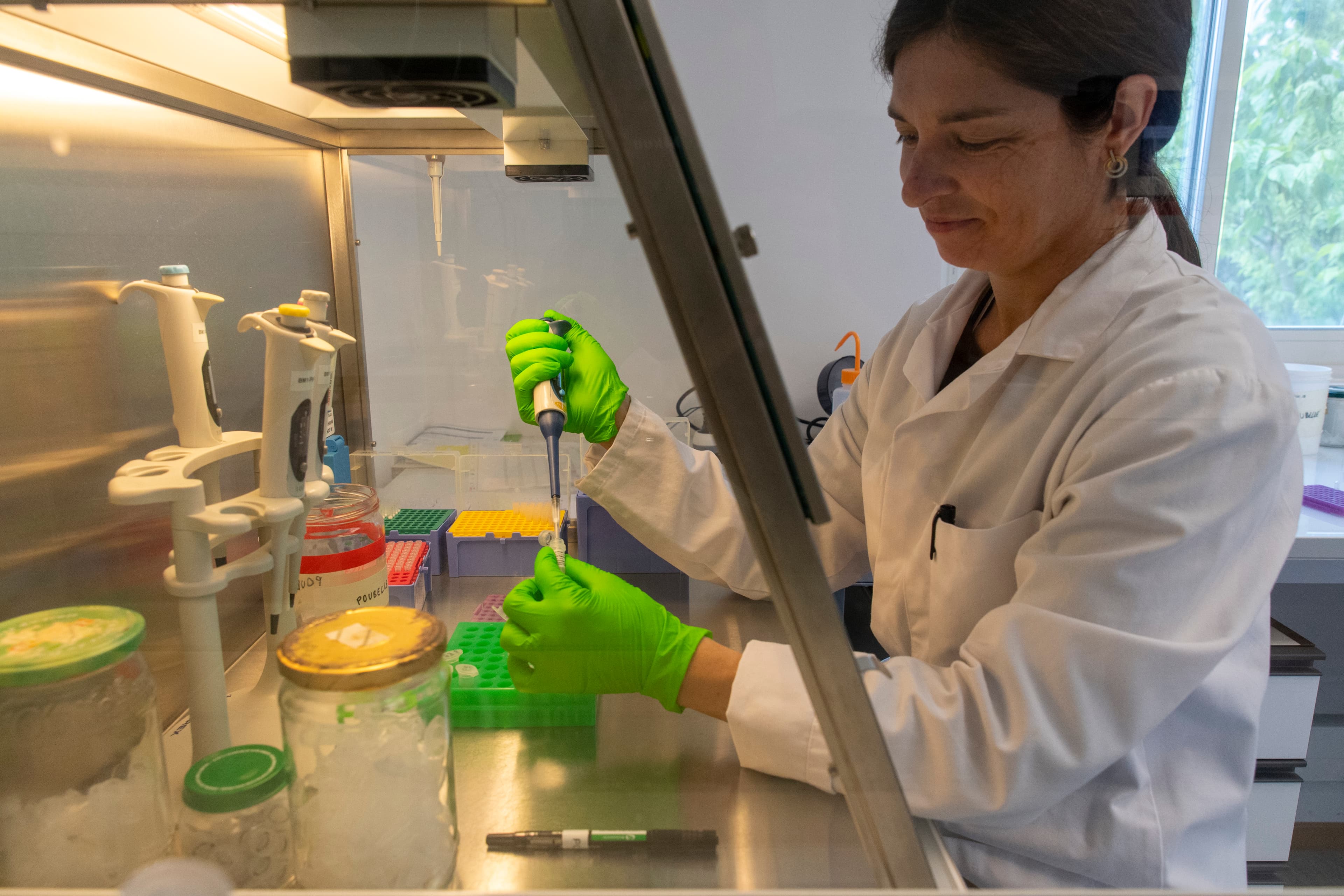 Analyse protocole laboratoire