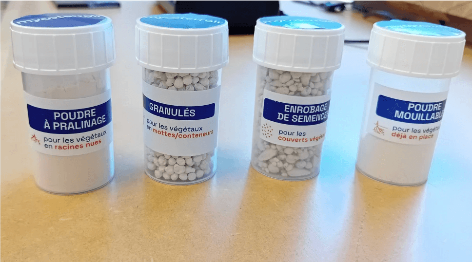 Mycorization 4 formulations de poudre