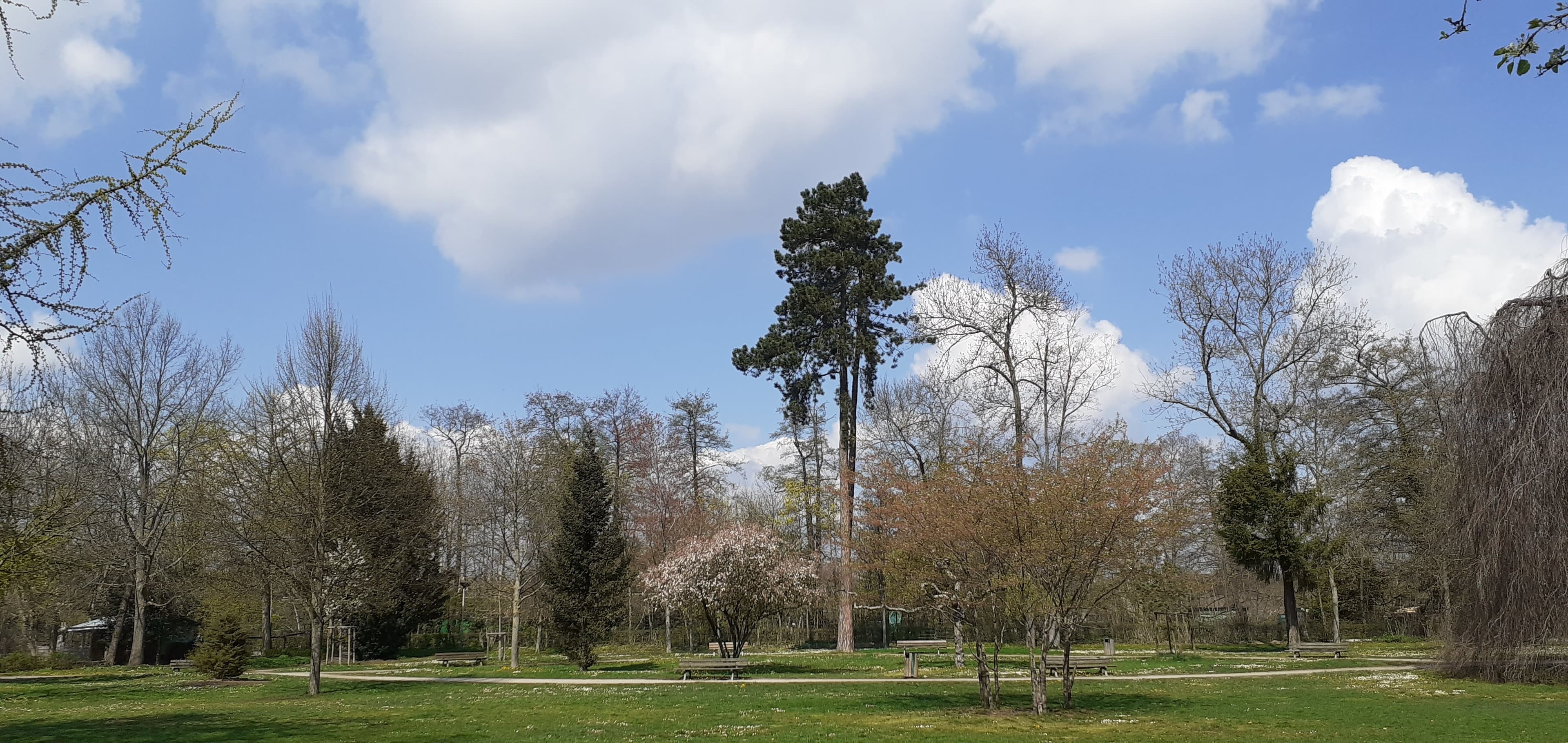 Espaces verts parc