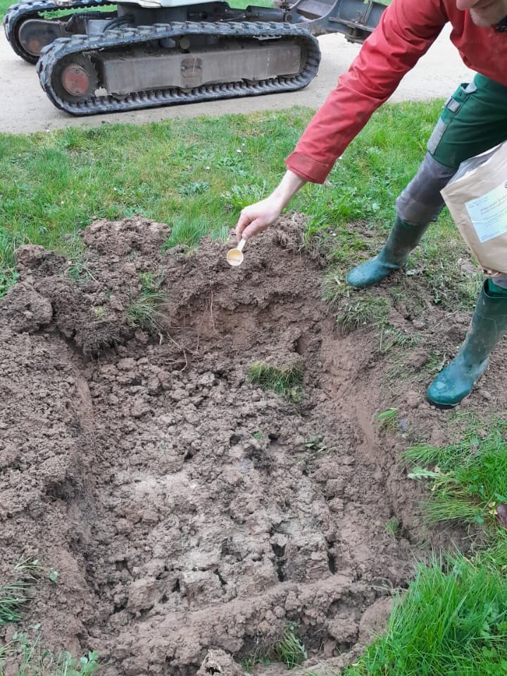 Inoculation MYCOTERROIR® sur plantation