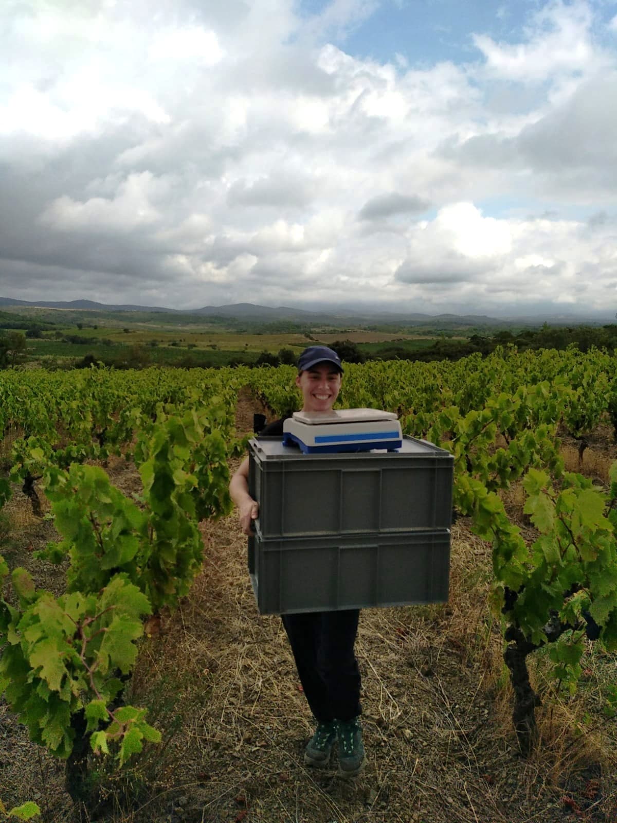 Méryl vigne