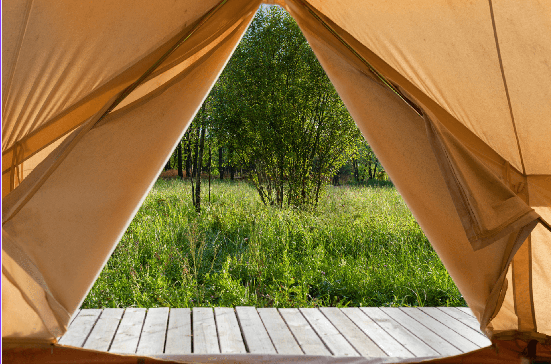 Tente de camping sur pelouse