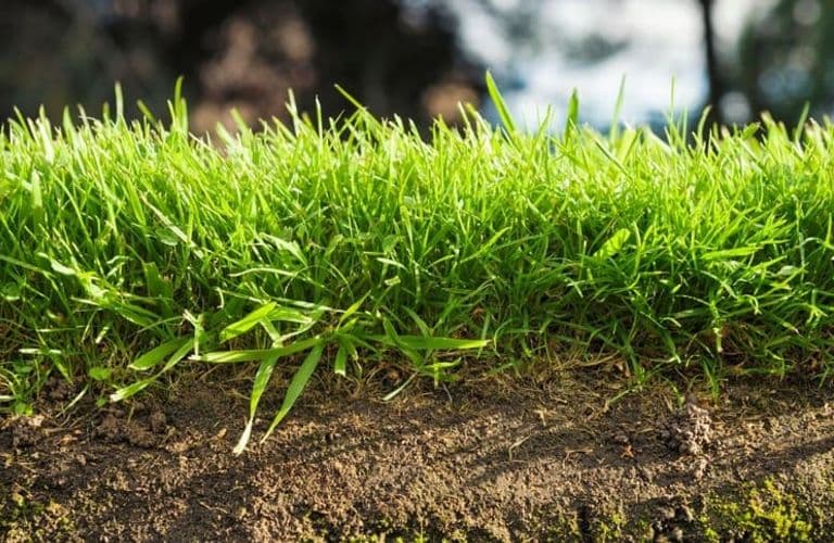 Photo illustrant la transition agroécologique