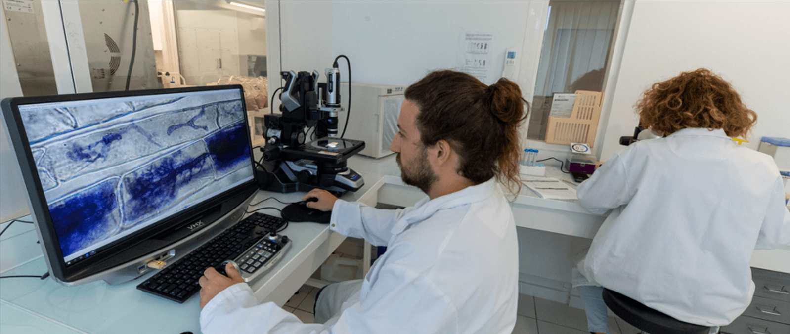 Analyse de sol laboratoire