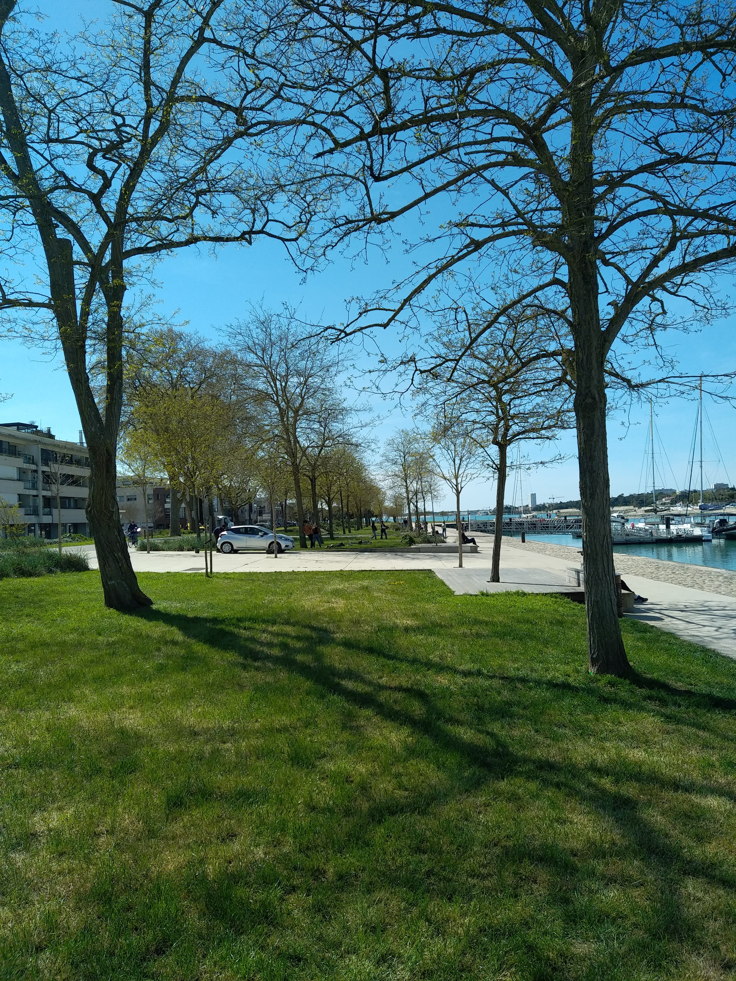 Espaces verts immobilier